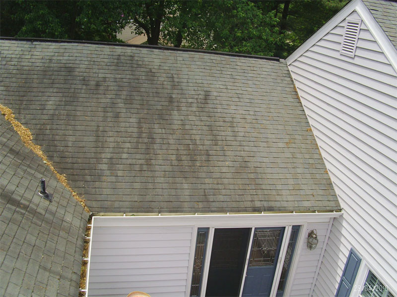 Roof before cleaning, Grime Busters Power Washing